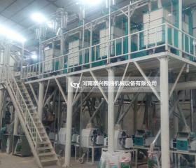 非洲剛果50噸玉米加工設(shè)備